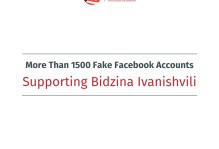 More Than 1500 Fake Facebook Accounts Supporting Bidzina Ivanishvili