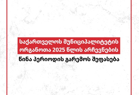 2025 Municipal Elections in Georgia:  Assessment of the Pre-Election Environment