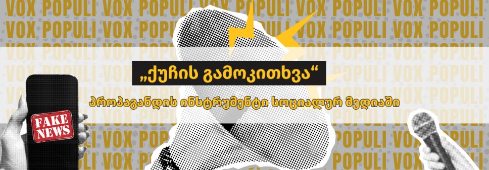 „ქუჩის გამოკითხვა“ — პროპაგანდის ინსტრუმენტი სოციალურ მედიაში