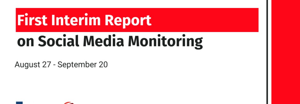 First Interim Report on Social Media Monitoring