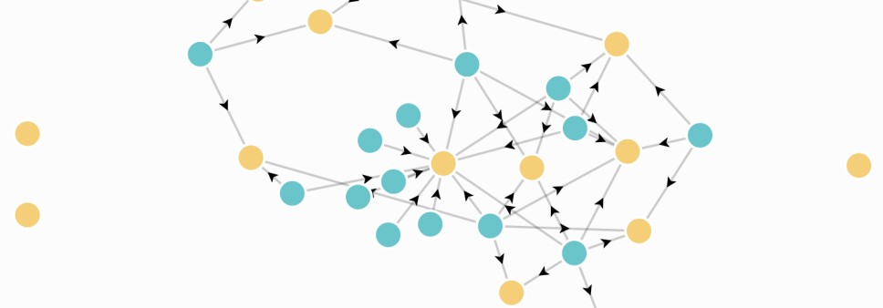 Coordinated Network of False Media Pages on Facebook Operating with Political Intentions