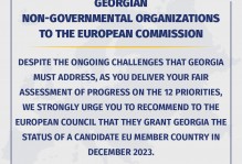 Appeal of Georgian non-governmental organizations to the European Commission